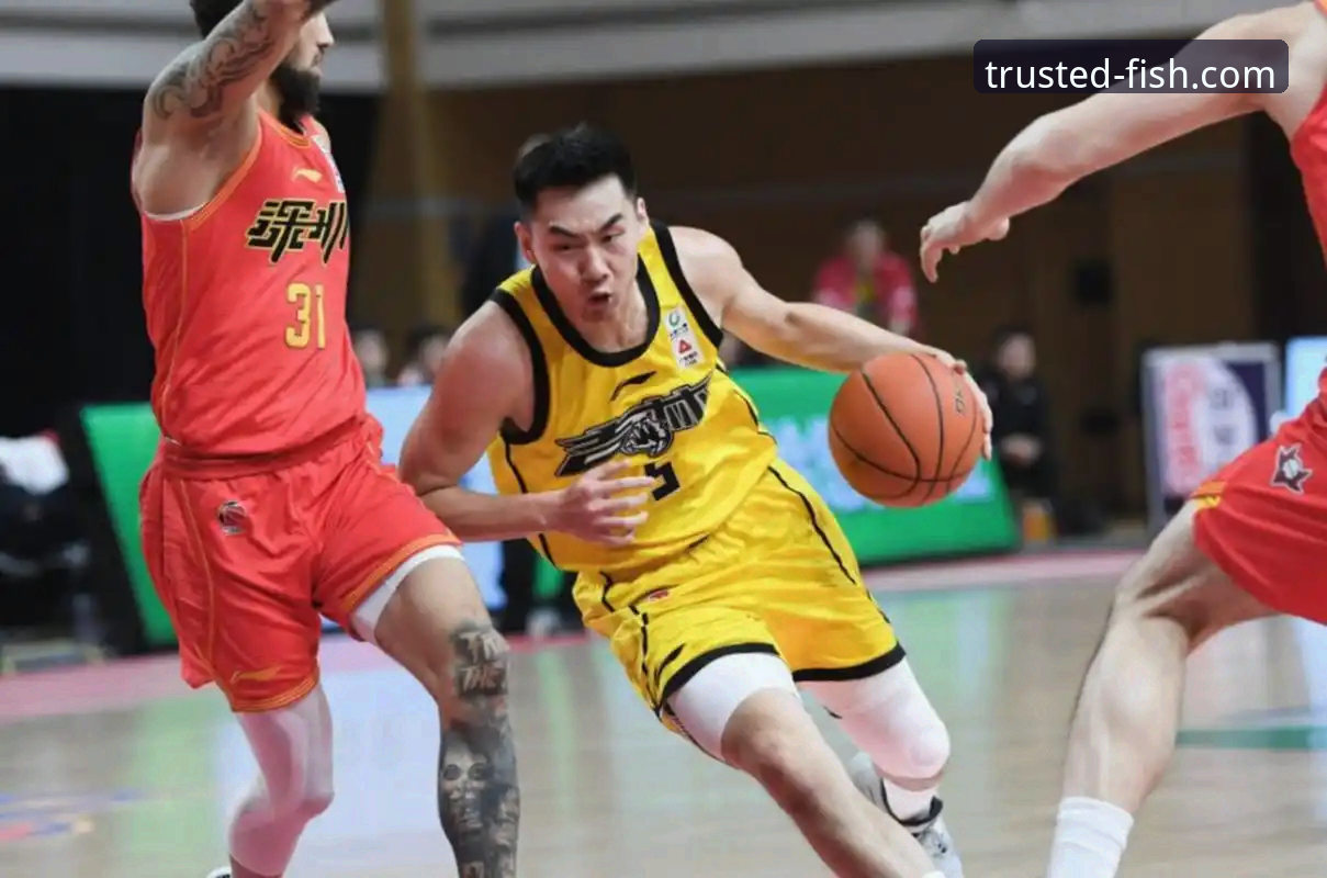 如何从一场酣畅淋漓的CBA大胜中，洞悉冠军球队的战术密码？