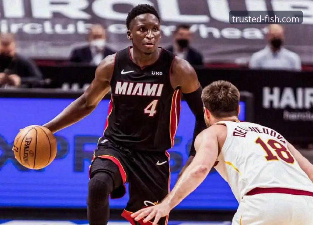 乐鱼体育平台NBA观赛体验完整指南：以湖人vs步行者为例