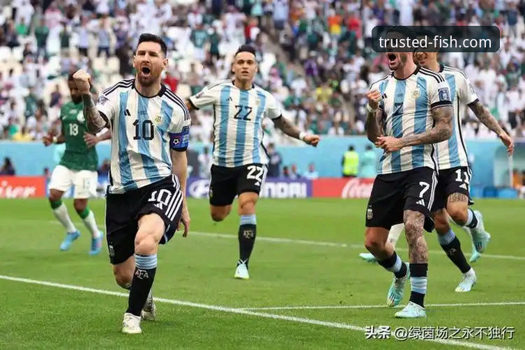揭秘阿根廷世界杯前折损新星的背后：一个关于伤病与机遇的体育故事
